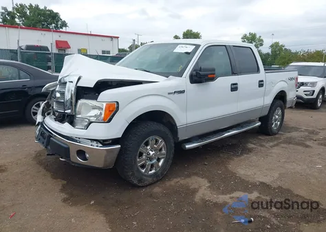 2011 Ford F-150 Xlt z USA, uszkodzony, nr VIN 1FTFW1EF3BFA37815